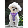 NEW-Polka Dot Ruffle American River Choke Free Harness - 