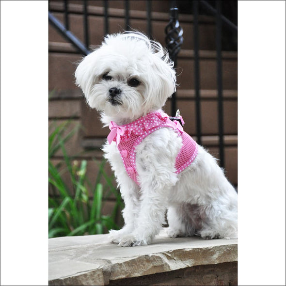 NEW-Polka Dot Ruffle American River Choke Free Harness - 