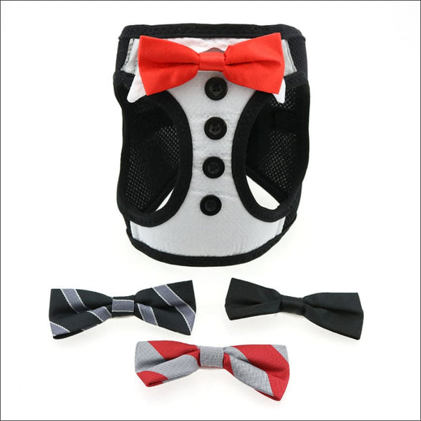 NEW-Tuxedo American River Harness w/ 4 Interchanging Bows - 