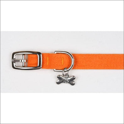 Orange Collar - Collars
