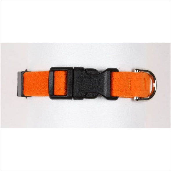 Orange Quick Release Collar