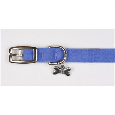 Periwinkle Collar - Collars