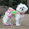 NEW-Doggie Design Pink Hawaiian Dog Floral Dress w/ Leash &