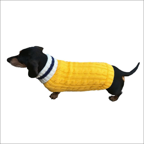Preppy Pup Collection by Dallas Dogs - Designer Sweater