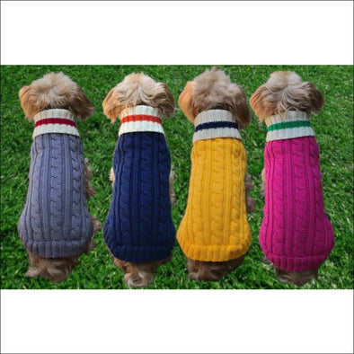 Preppy Pup Collection by Dallas Dogs - Designer Sweater