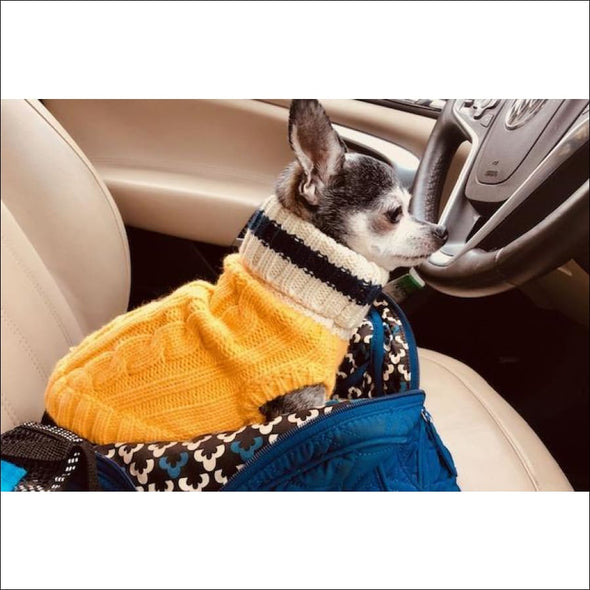 Preppy Pup Collection by Dallas Dogs - Designer Sweater