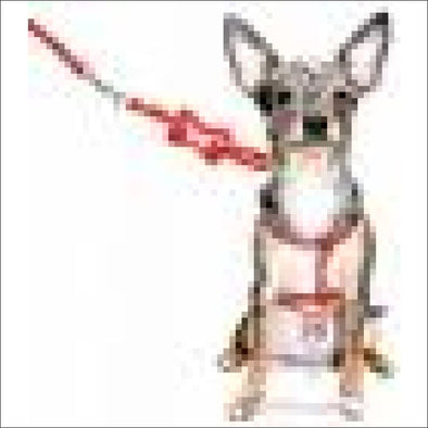 Red Bone Charm Step-in Dog Harness - XS