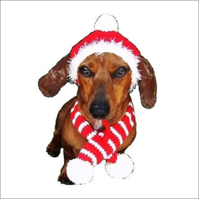 Red Holiday Dog Hat & Candy Cane Dog Scarf*