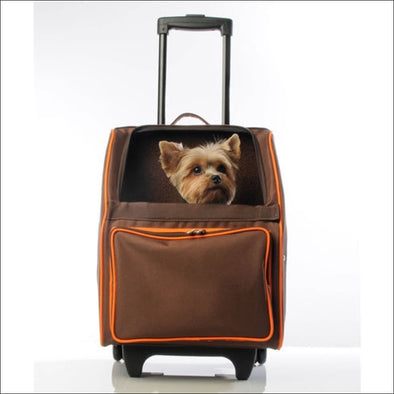 RIO Classic - Orange Zest - Carriers & Strollers