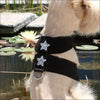 Rock Star Tinkie Harness By Susan Lanci - Designer Harness