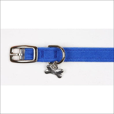 Royal Blue Collar - Collars