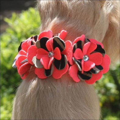 Sarah Collar - Collars