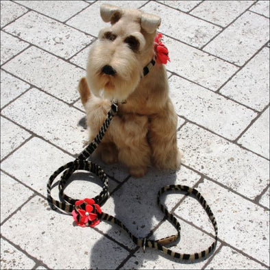 Sarah Flower Leash-Serengeti Color - Pet Leashes