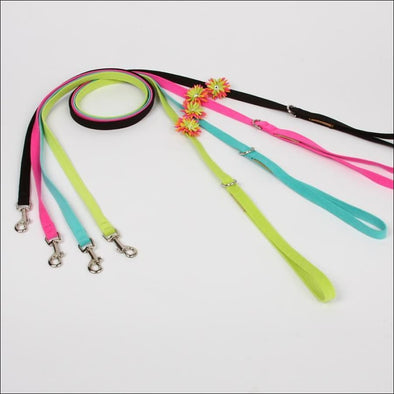 Sea Urchin Leash - Leash