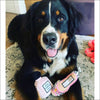 Stella MuttCartney Shoe Dog Toy By Dog Diggin Designs - 