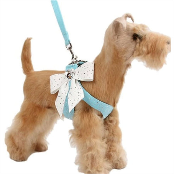 Susan Lanci Tiffi Blue Stardust Tail Bow Emerald Tinkie Harness,Susan Lanci Tiffi Blue,Tail Bow Step-In Harness,susan lanci,susan lanci harness,susan lanci designs,blue harness,tiffany blue,blue dog harness,soft dog harness,step in harness,dog harness,small dog harness,fashion harness,designer harness,puppy harness,harness for dogs,suede harness,pure simple,step-in,harness leash,step in,