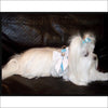 Susan Lanci Tiffi Blue Stardust Tail Bow Emerald Tinkie Harness,Susan Lanci Tiffi Blue,Tail Bow Step-In Harness,susan lanci,susan lanci harness,susan lanci designs,blue harness,tiffany blue,blue dog harness,soft dog harness,step in harness,dog harness,small dog harness,fashion harness,designer harness,puppy harness,harness for dogs,suede harness,pure simple,step-in,harness leash,step in,