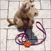 SUSAN LANCI Wendy Flower Step In Harness - Pet Collars & 