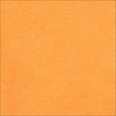 Tangerine Solid Leash