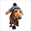 Turquoise & Brown Striped Dog Hat Scarf*