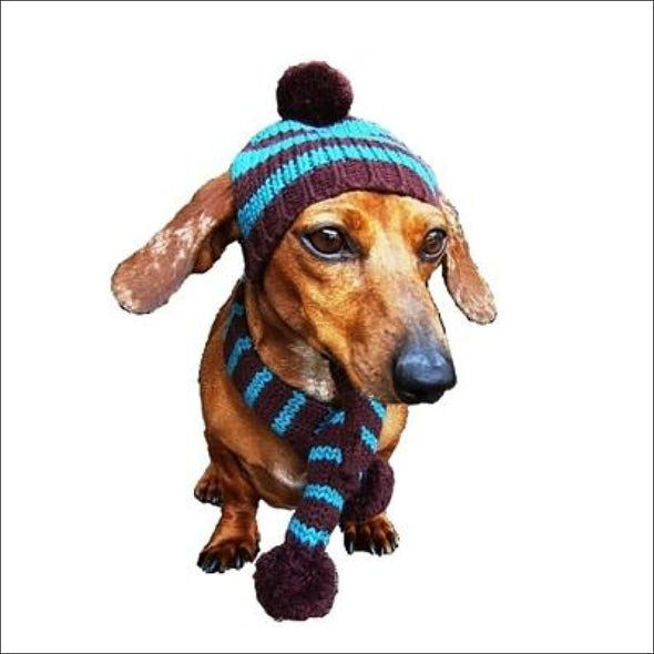 Turquoise & Brown Striped Dog Hat Scarf*