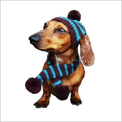 Turquoise & Brown Striped Dog Hat Scarf*