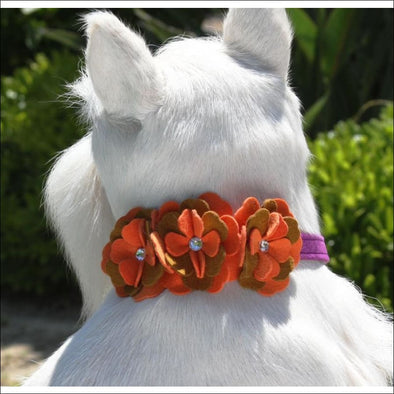 Wendy Collar - Collars