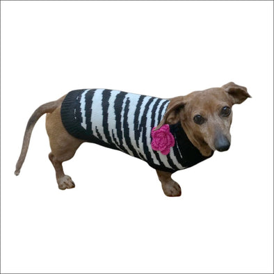 Zebra Fleur Rose by Dallas Dogs - Designer Sweater