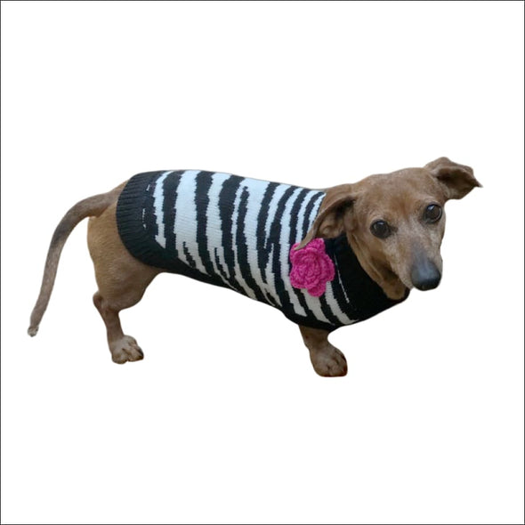 Zebra Fleur Rose by Dallas Dogs - Designer Sweater